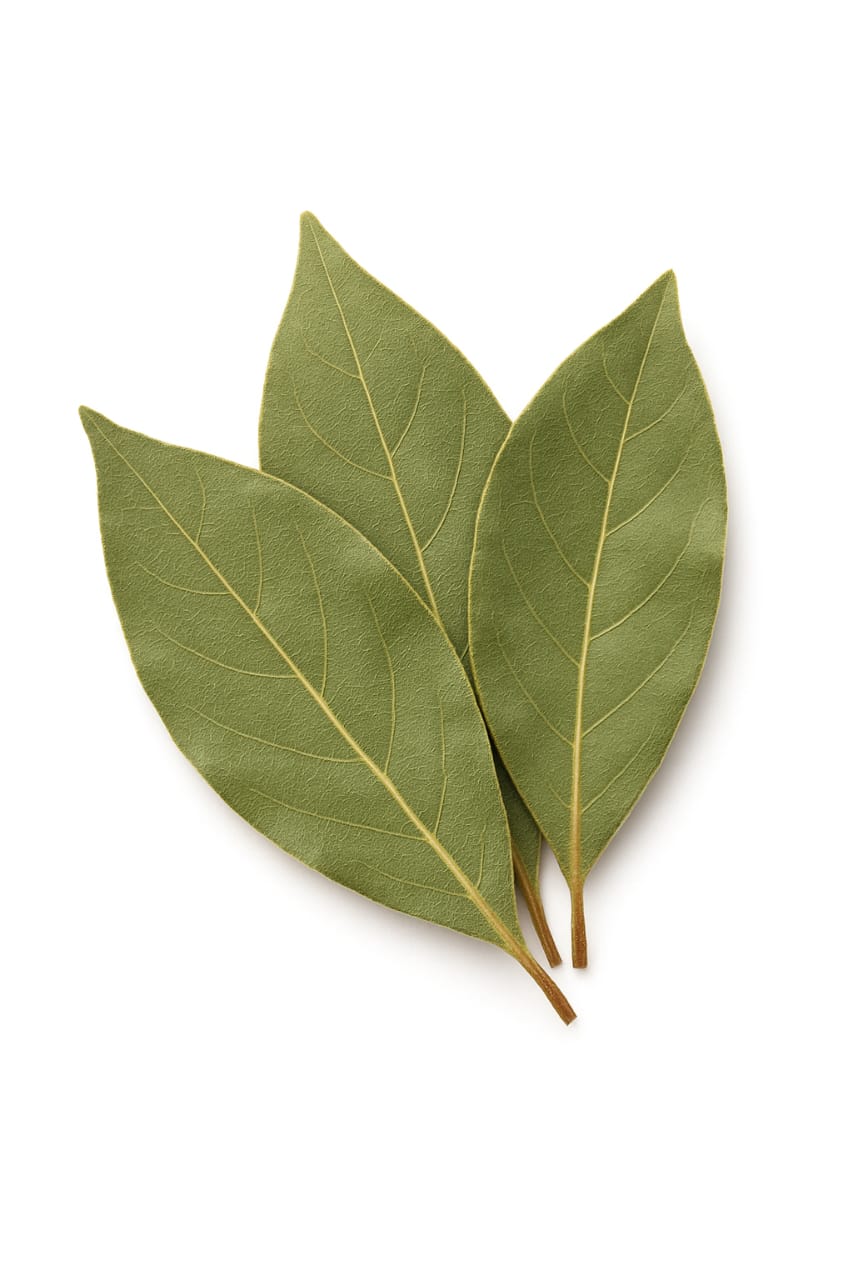 Bay Leaves